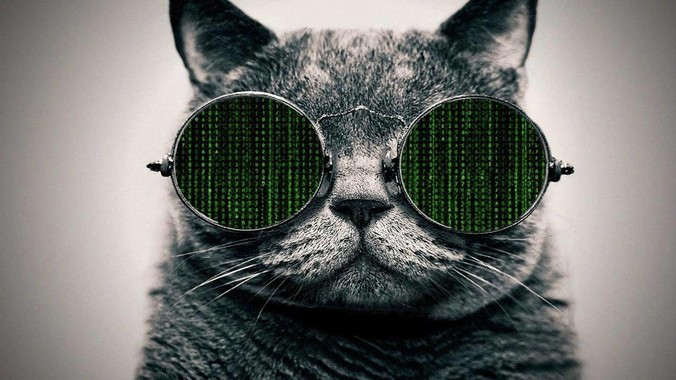 新买的移动硬盘该格式化为 NTFS 还是 exFAT？